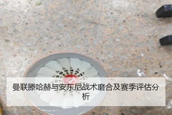 曼联滕哈赫与安东尼战术磨合及赛季评估分析